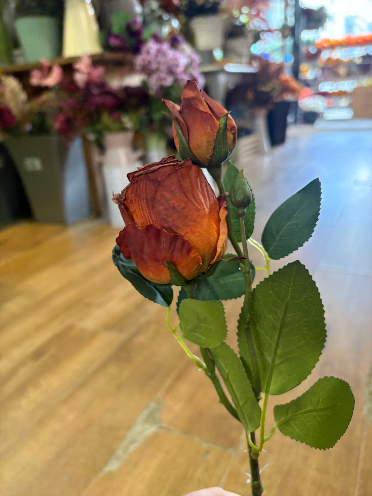 Dried inspired single russet Gemini rose