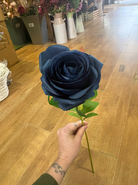 Single Navy harper rose