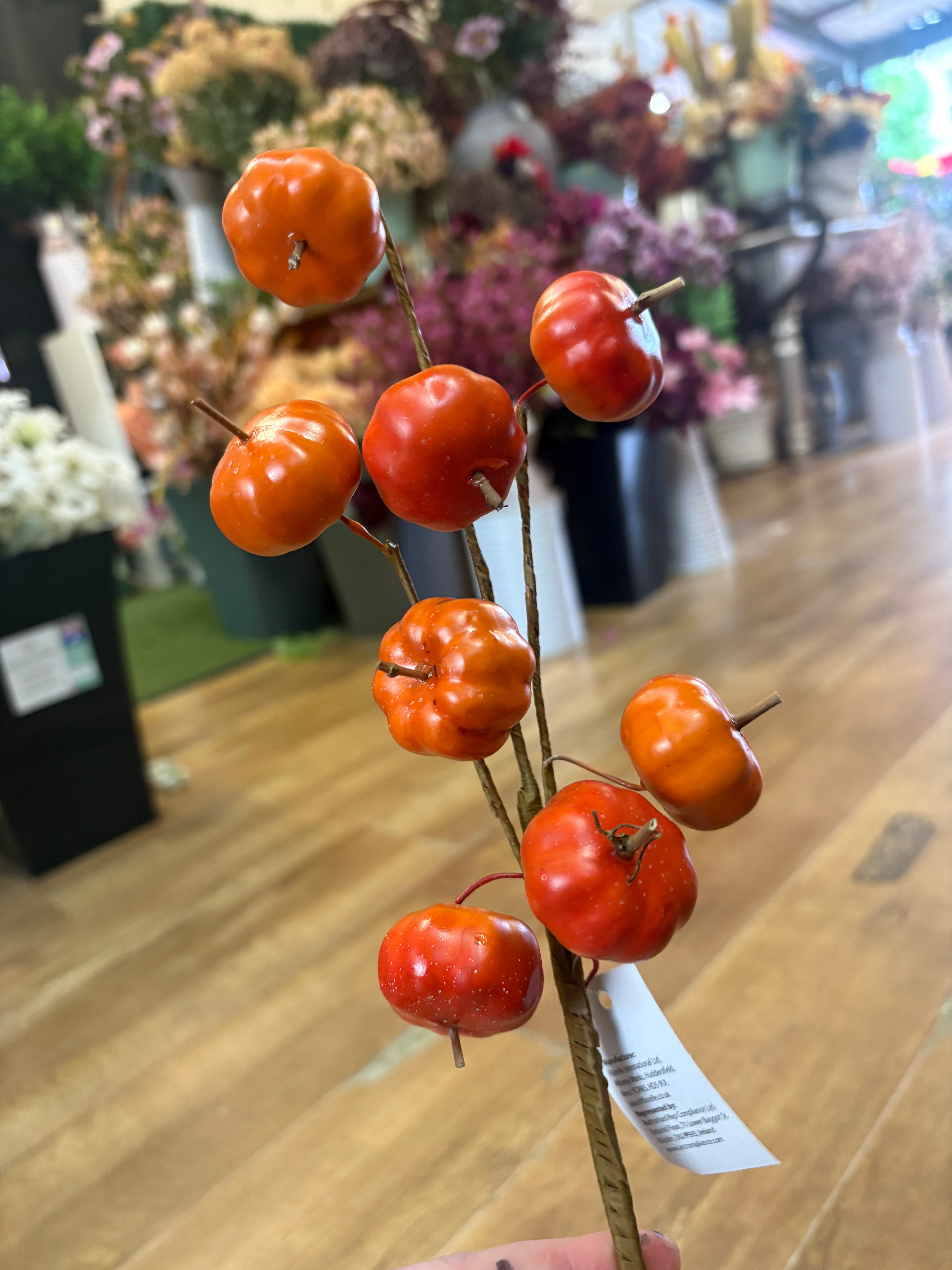Mini Pumpkin branch