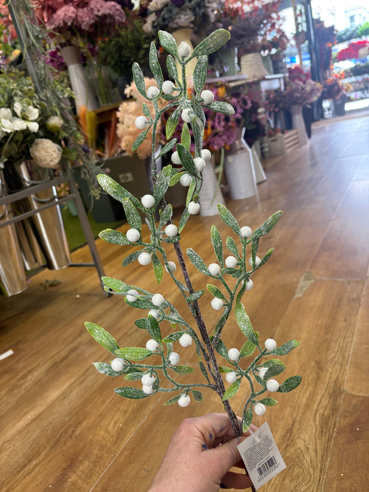 Long stem frosted mistletoe branch
