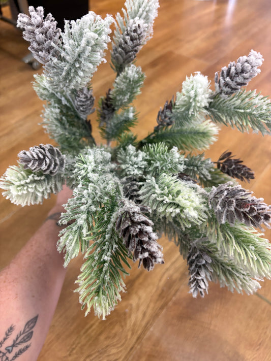 Large frosted pine and cone bunch