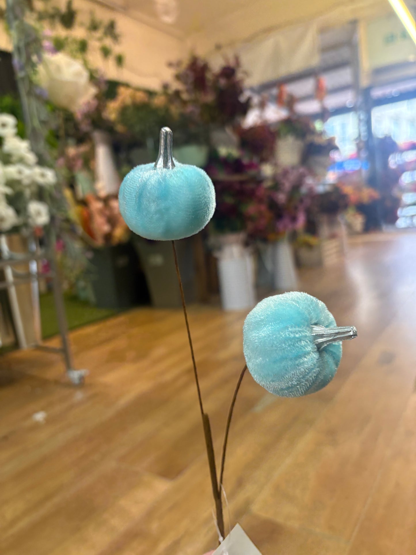 Pale blue velvet pumpkin stem