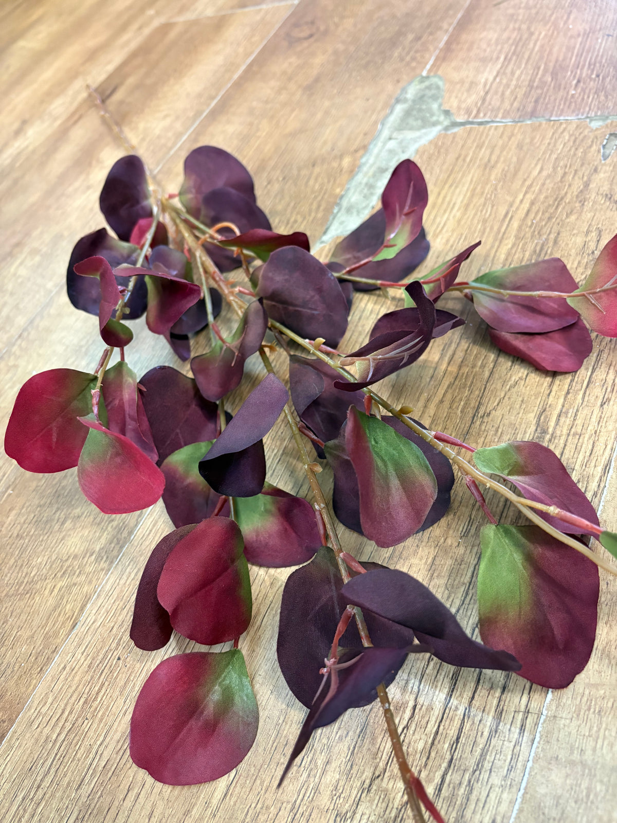 90cm tall burgundy and green silver dollar eucalyptus spray