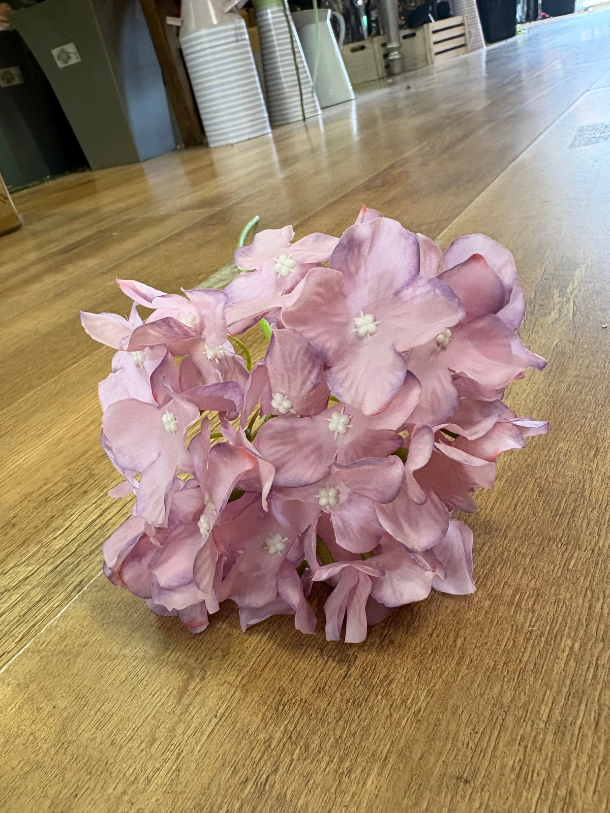 Long stem mauve hydrangea