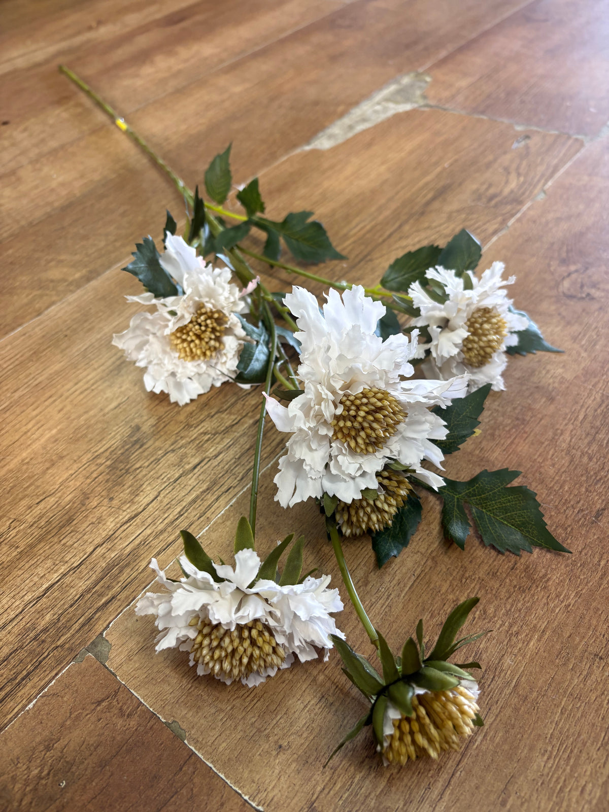75cm tall cream ruffled scabiosa spray