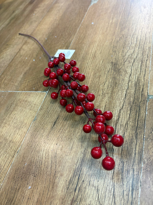 Red berry stem