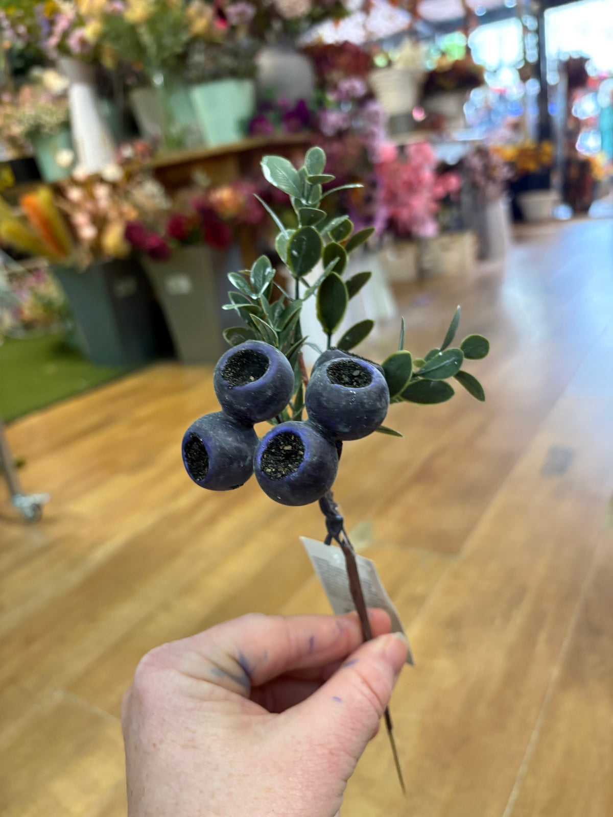 Blueberry pick
