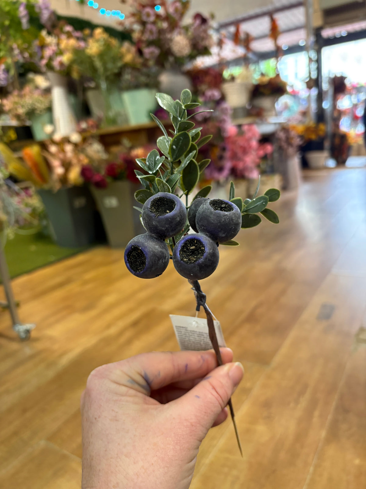 Blueberry pick