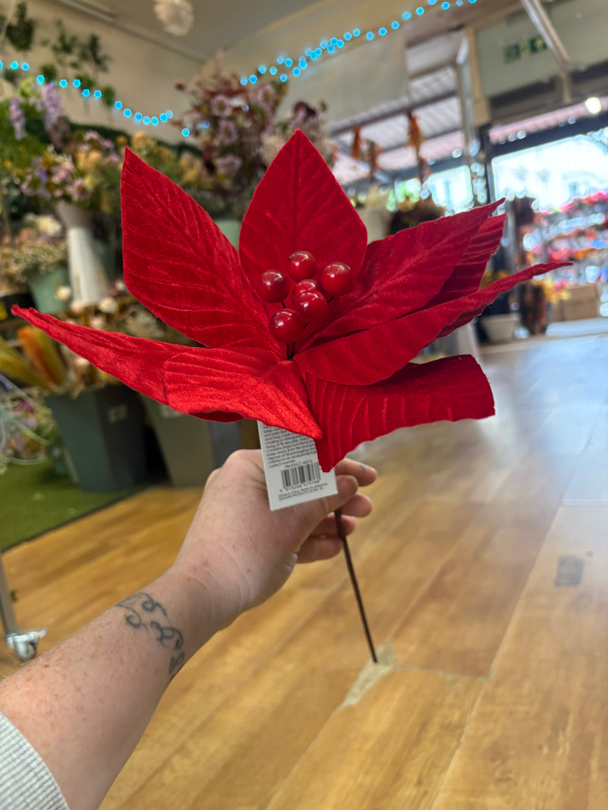 Short stem red velvet single poinsettia