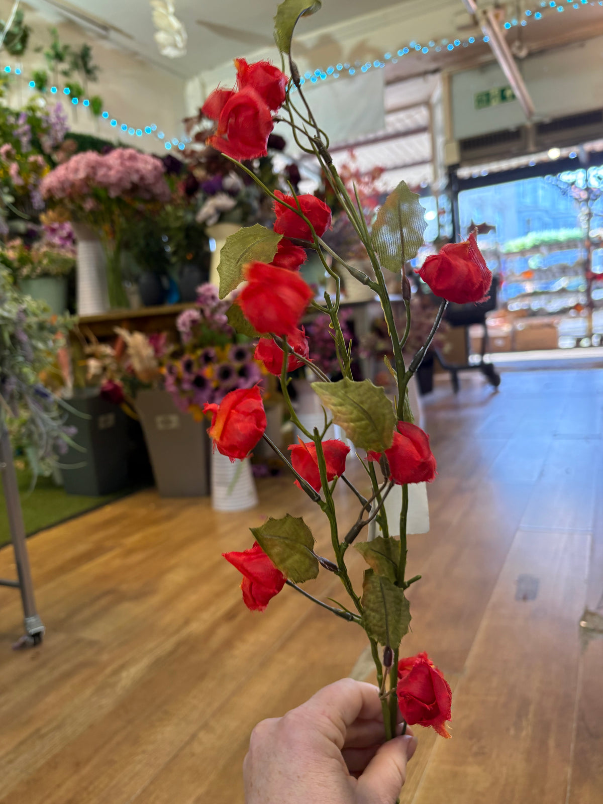 Long stem red Chinese lantern