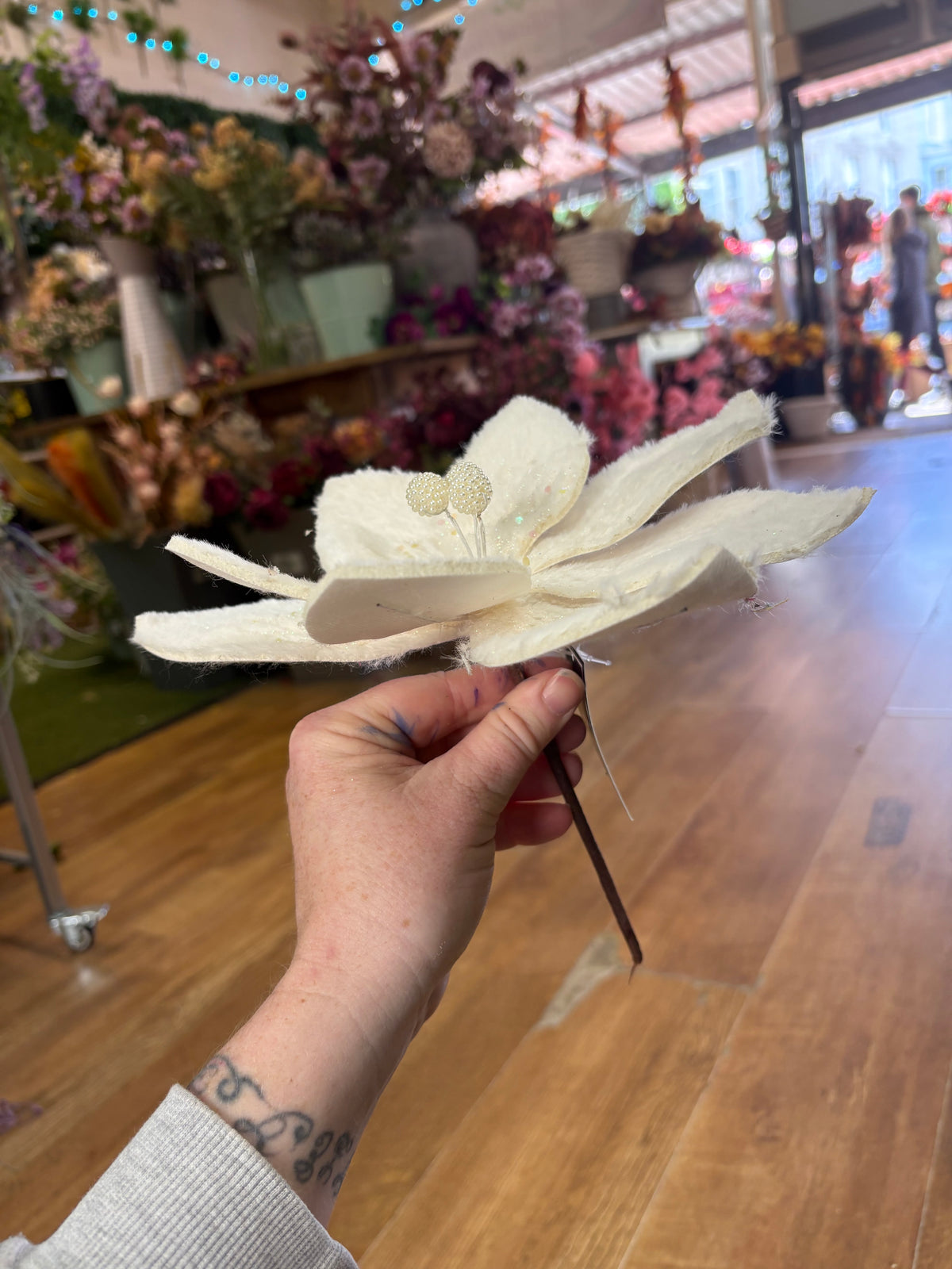 Fluffy white glittered single poinsettia