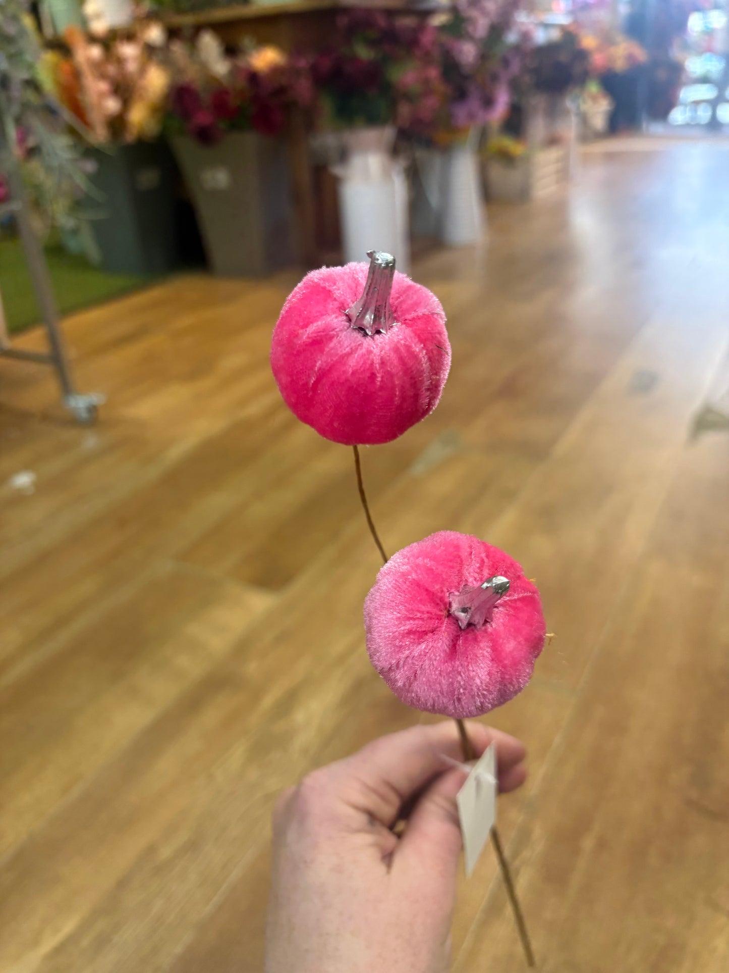 Pink velvet pumpkin stem