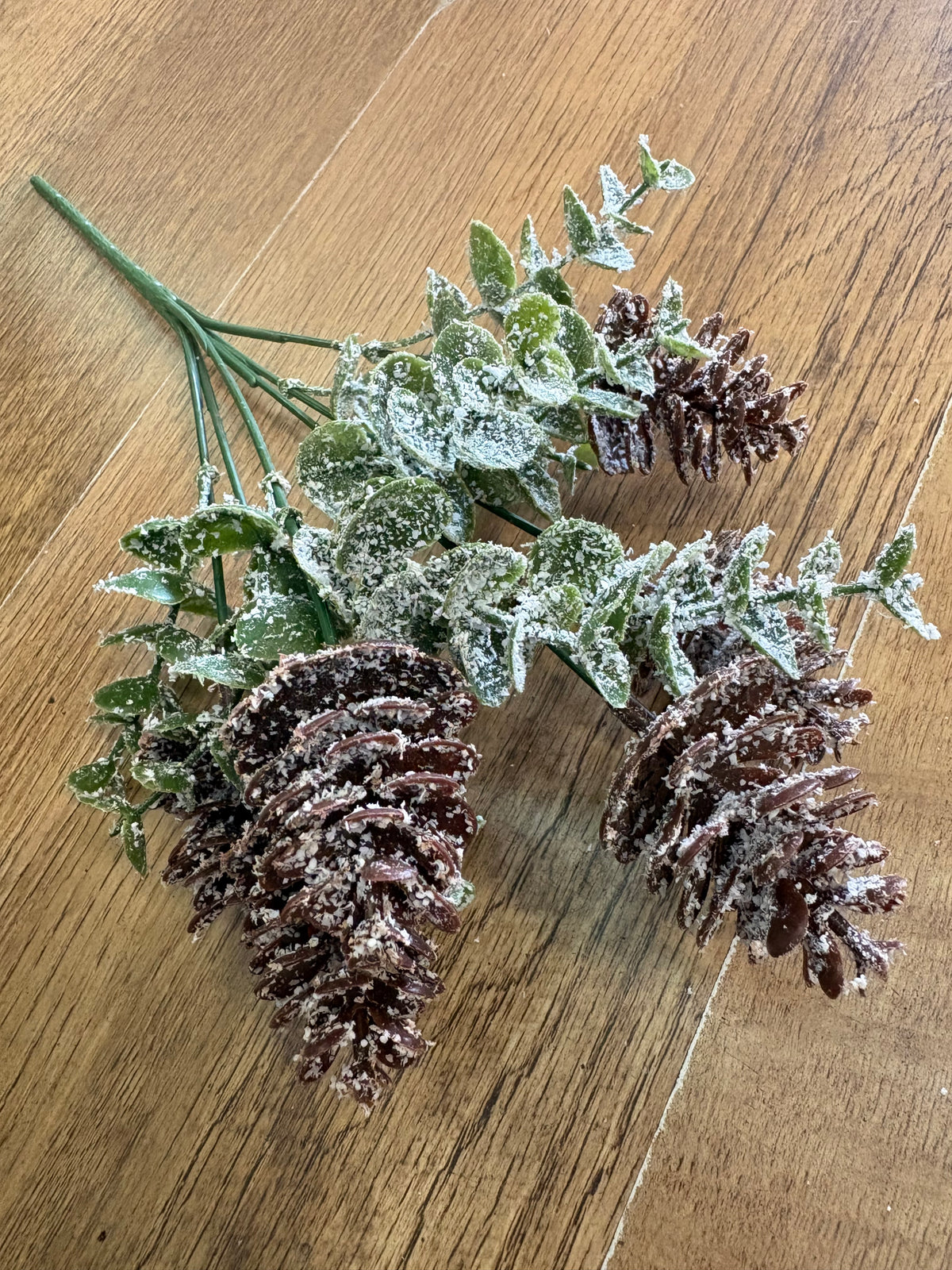 Snowy cones and eucalyptus bunch