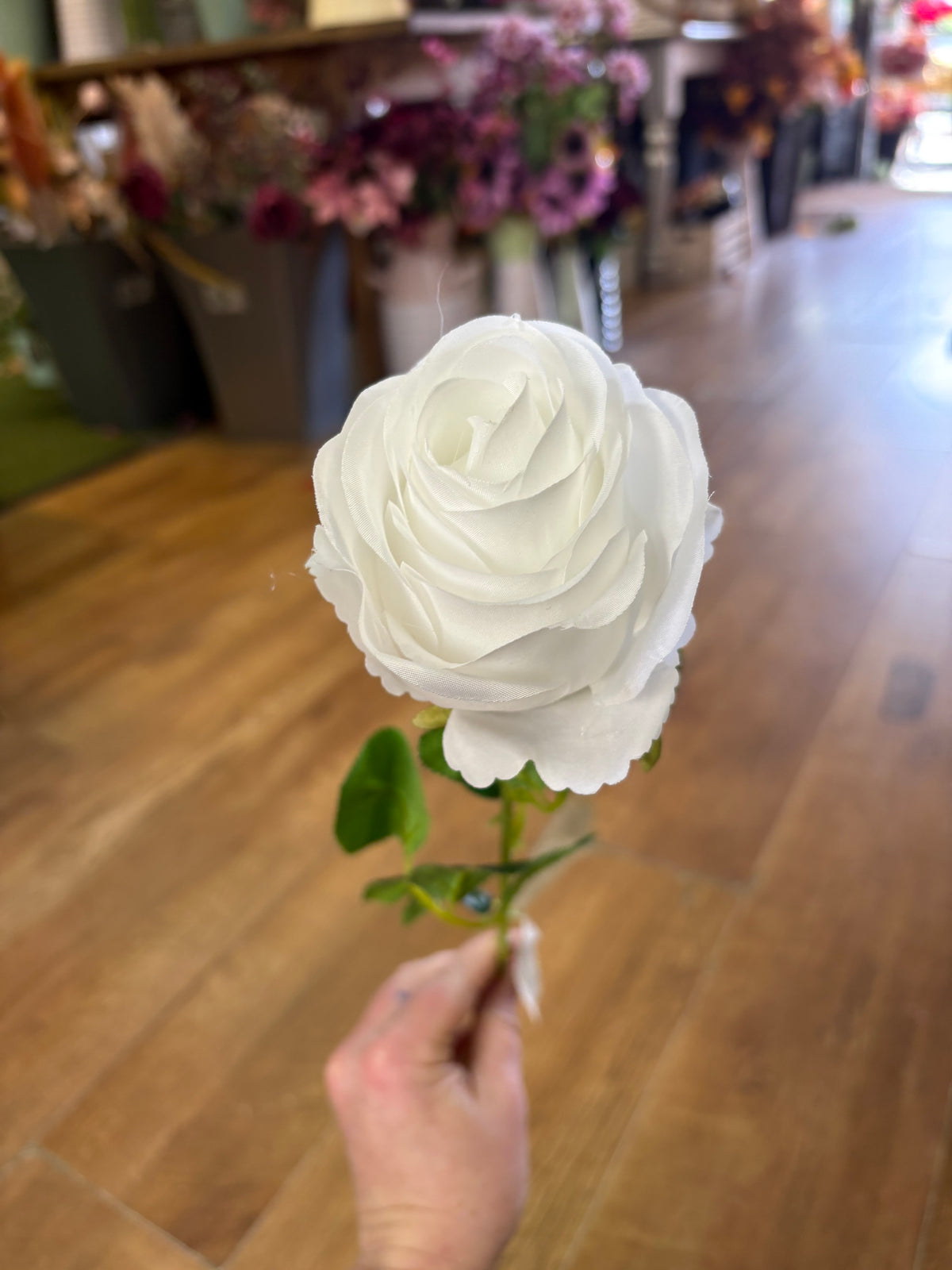 Single white harper rose