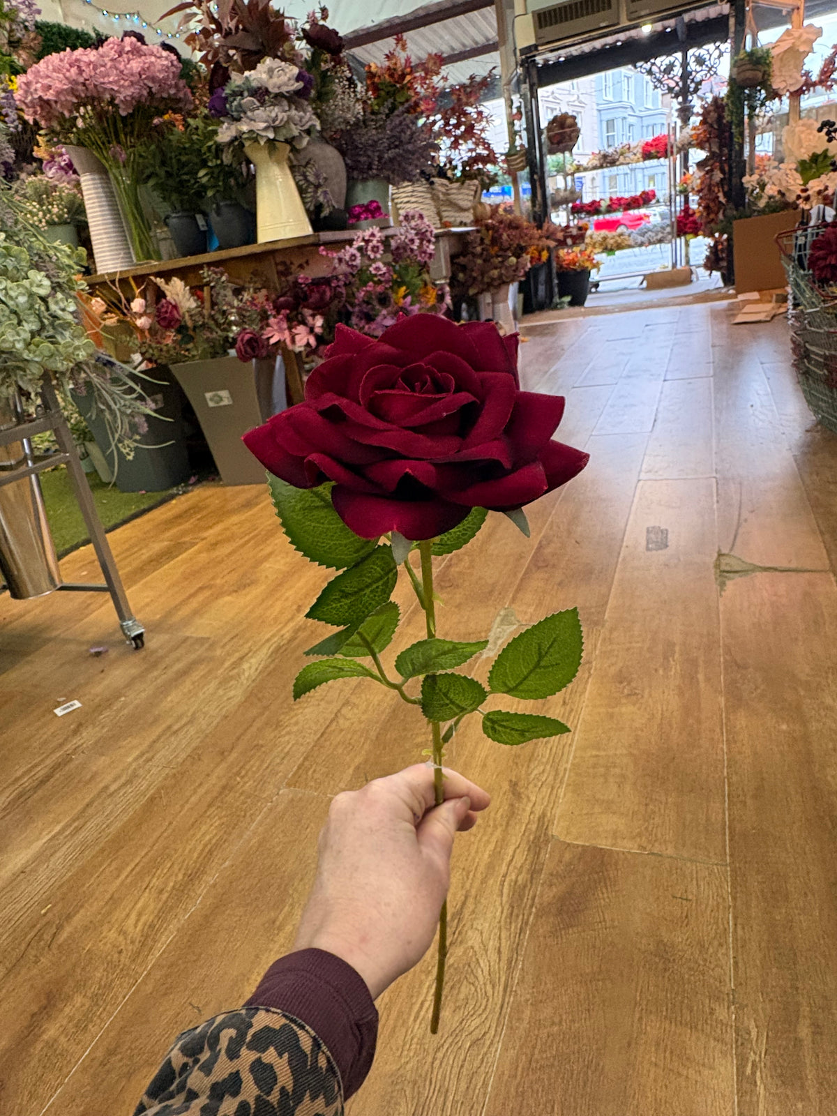 Dark red velvet single rose