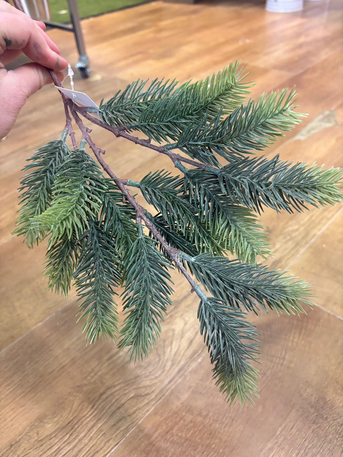 42cm pine stem
