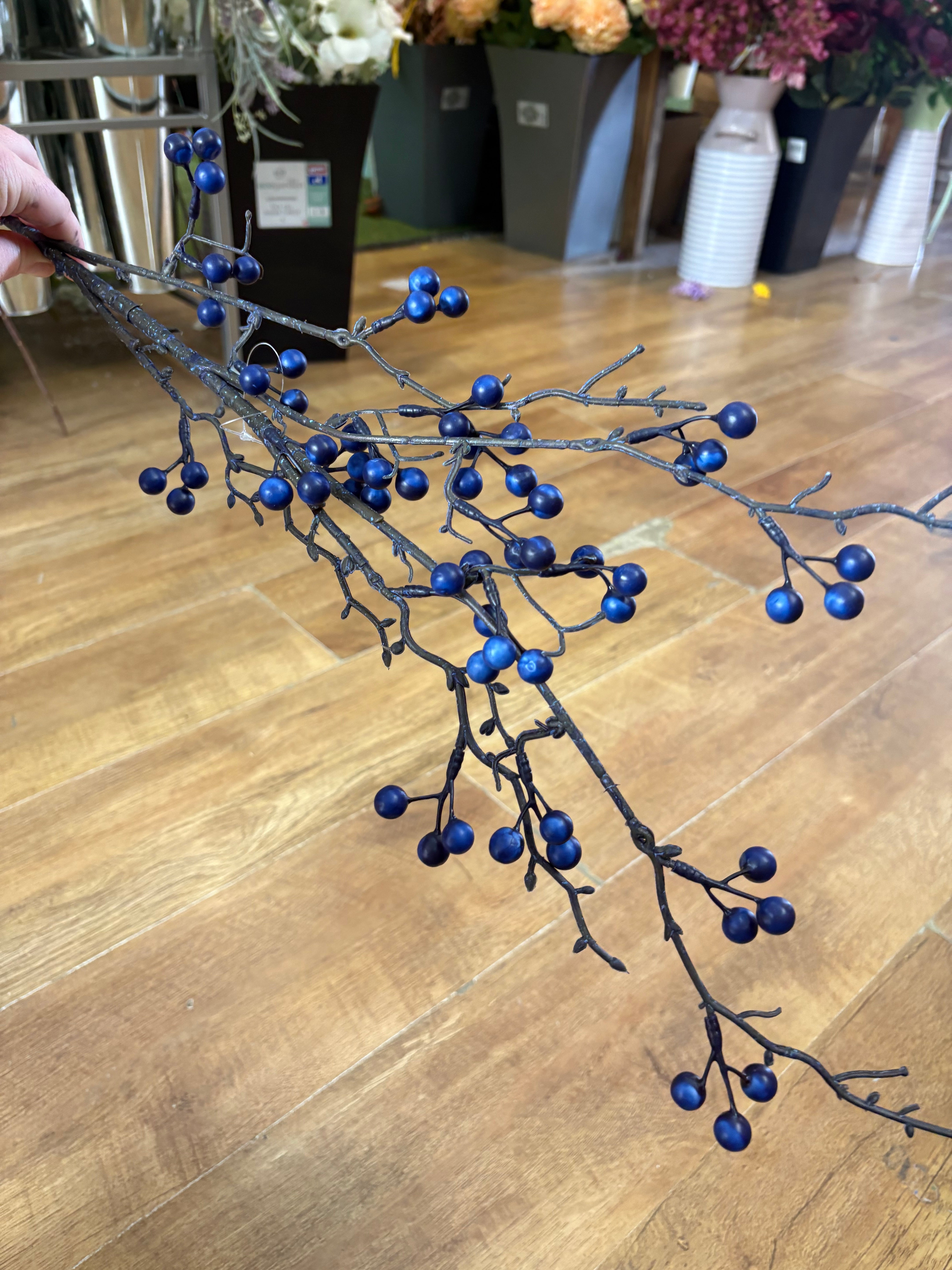 Long stem winter blue berry branch