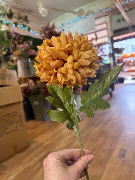 Long stem Honey Pom Pom flower