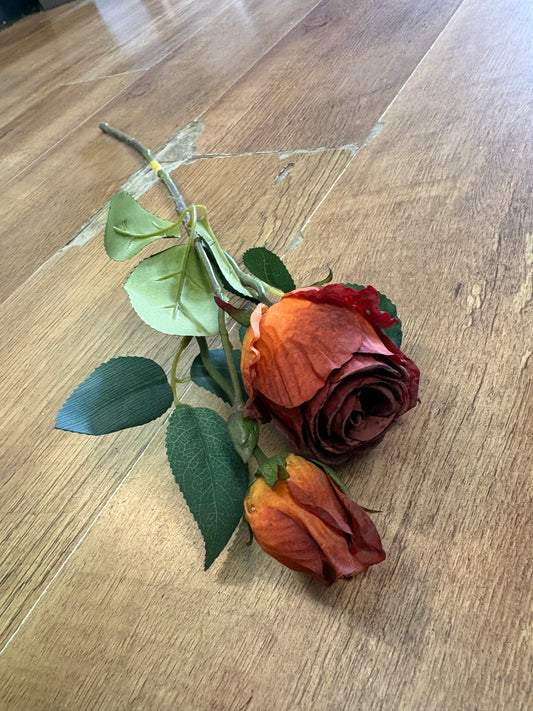 Dried inspired single russet Gemini rose