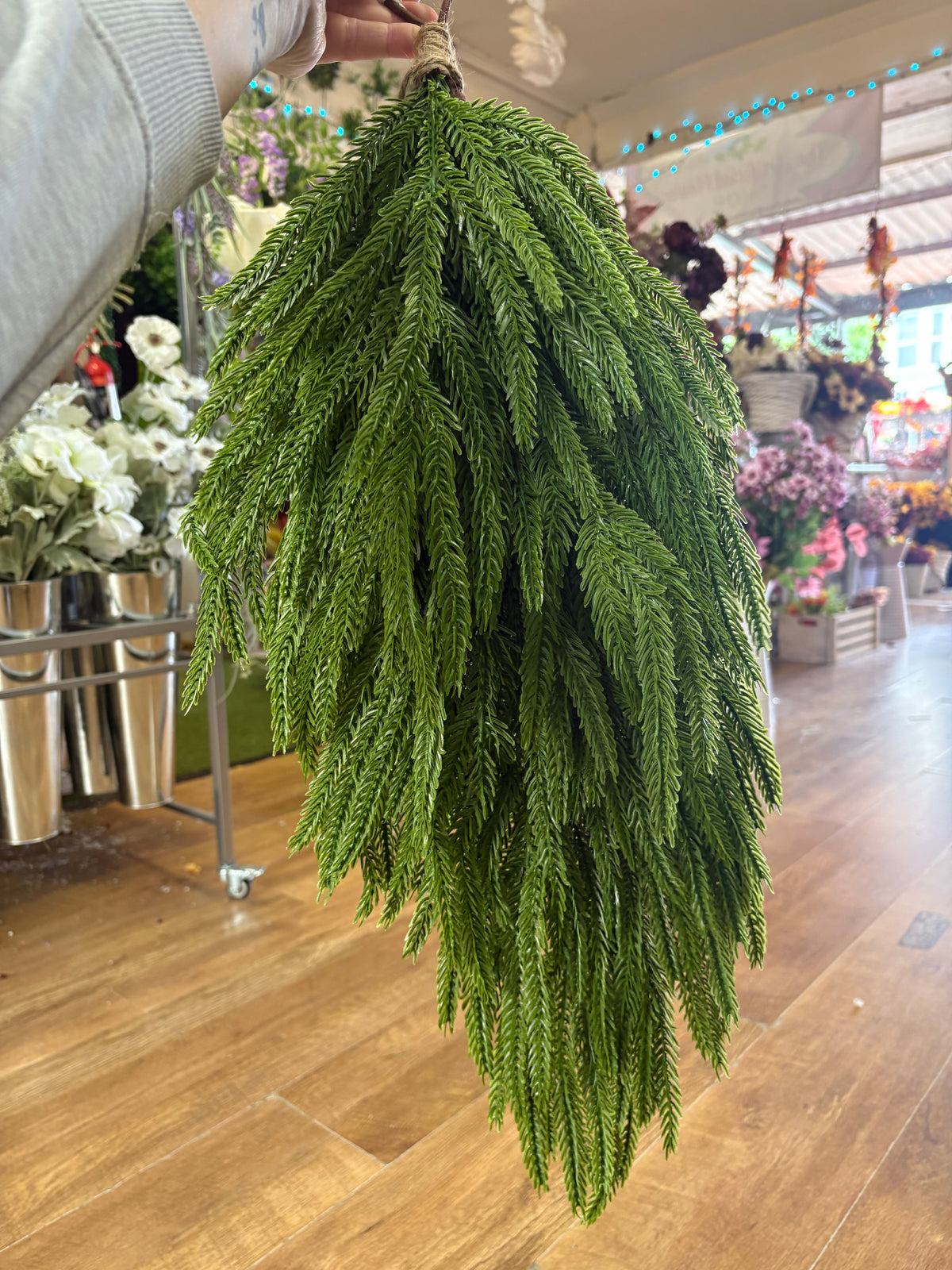 70cm weeping Norfolk pine teardrop swag