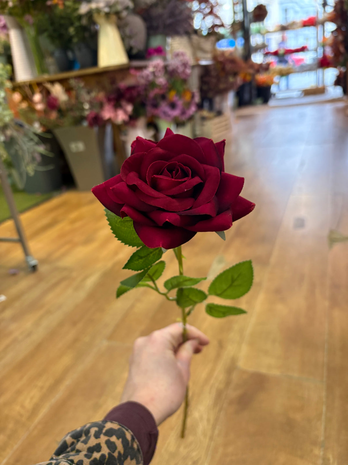 Dark red velvet single rose