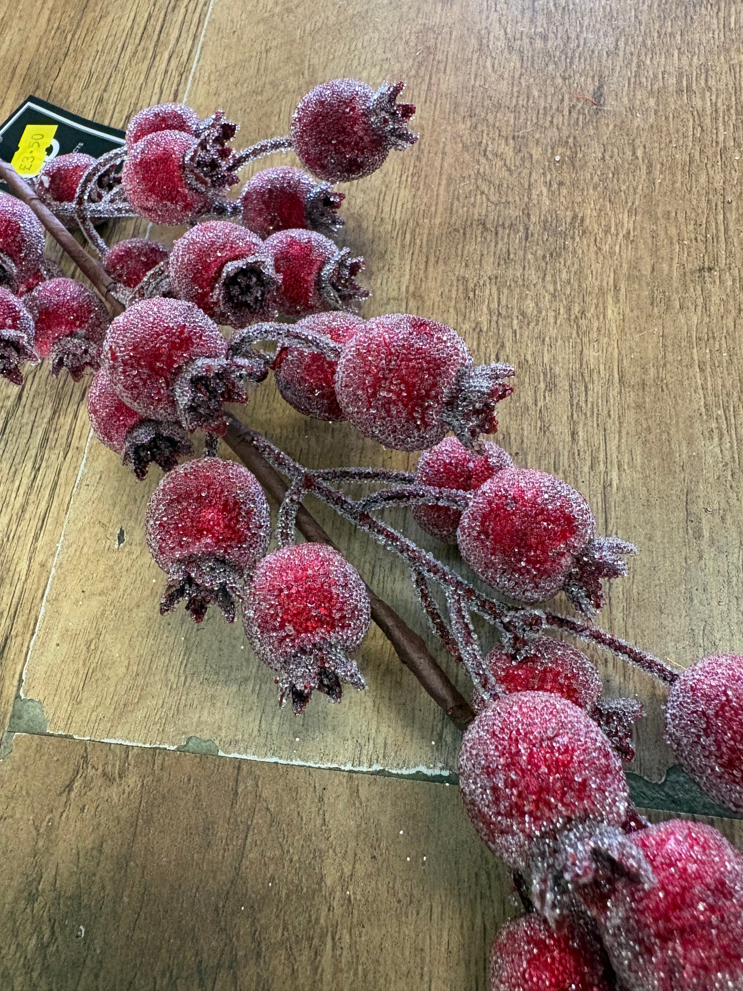 Long stem frosted rose hip spray