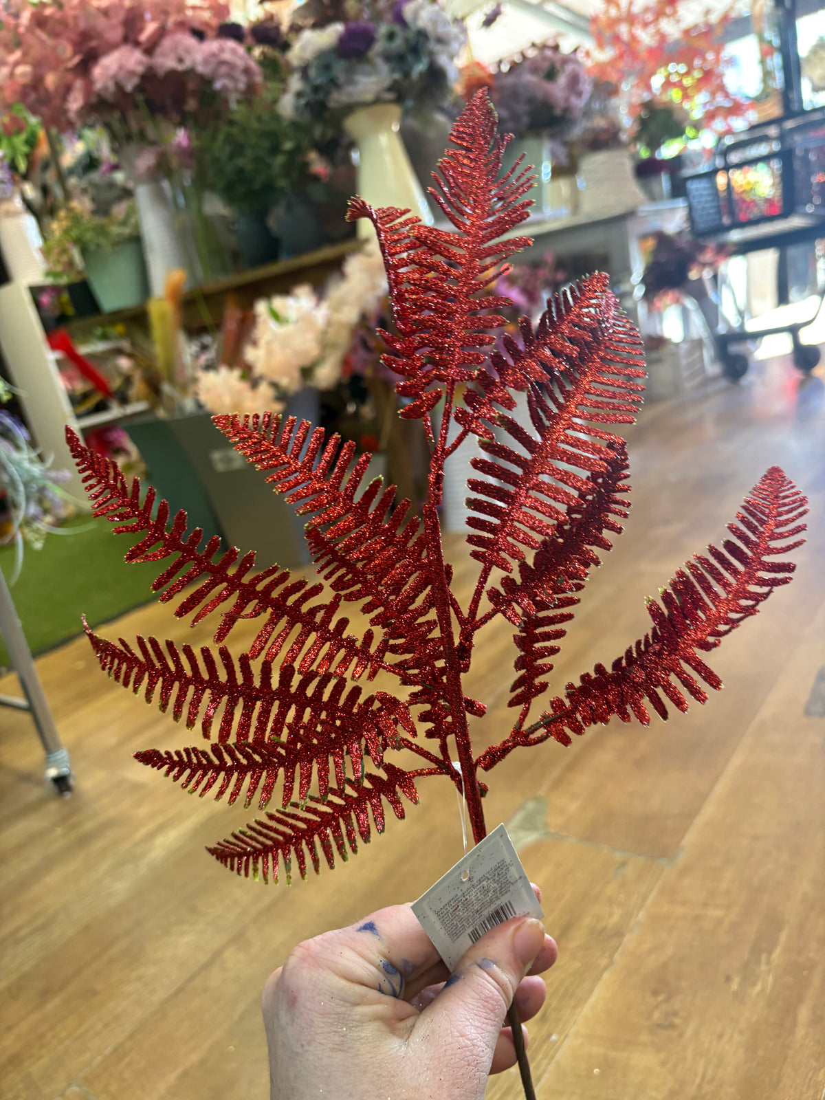 Glittered red fern stem