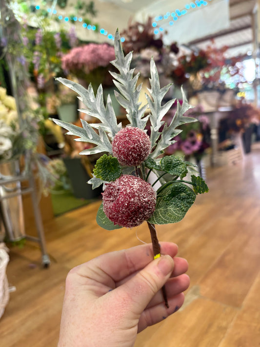 Frosted apple pick