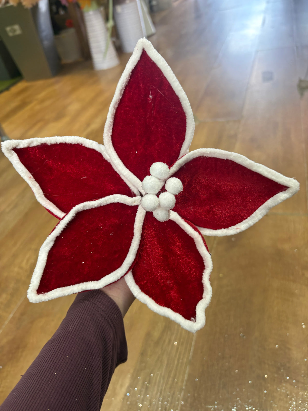 Shote red and white velvet poinsettia