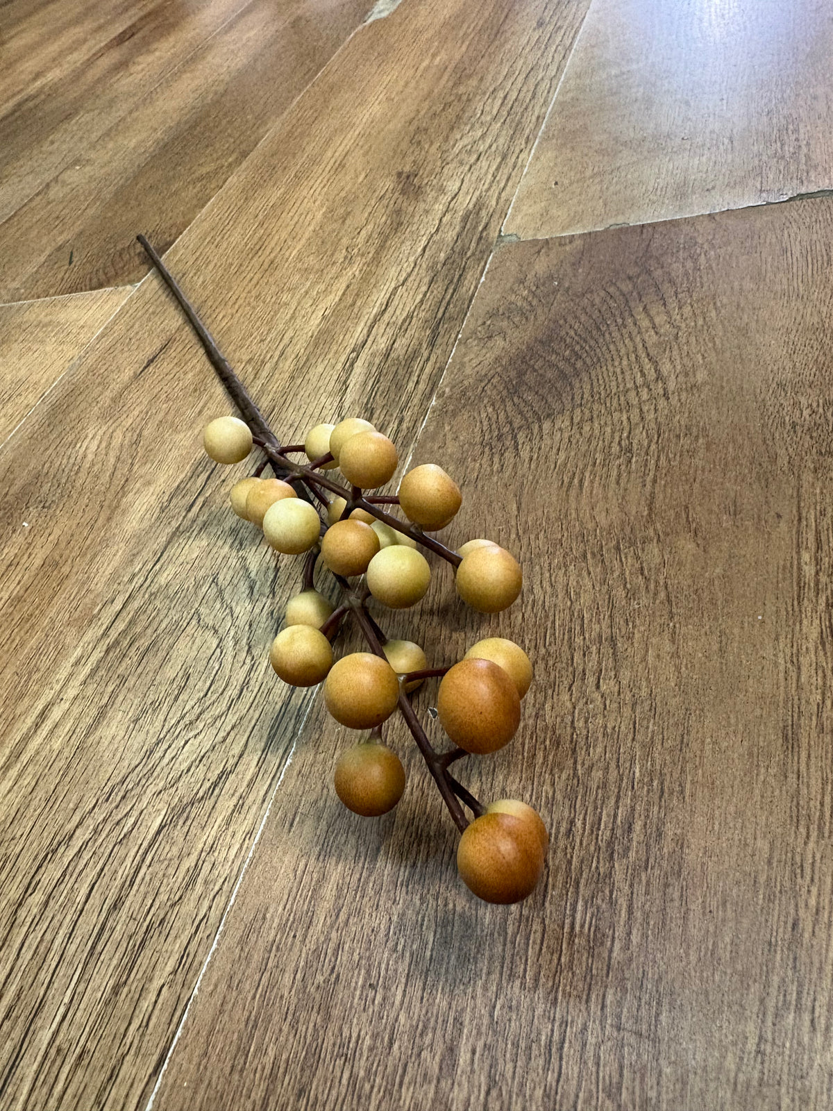 Coffee and cream long stem berry pick