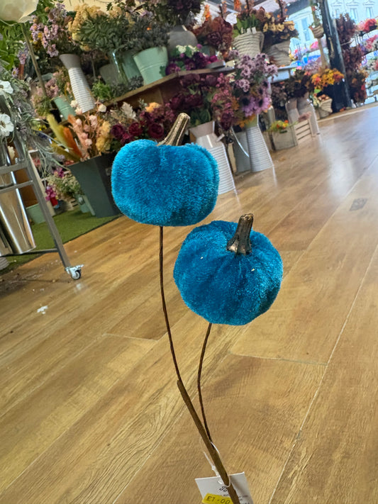 Teal velvet pumpkin stem