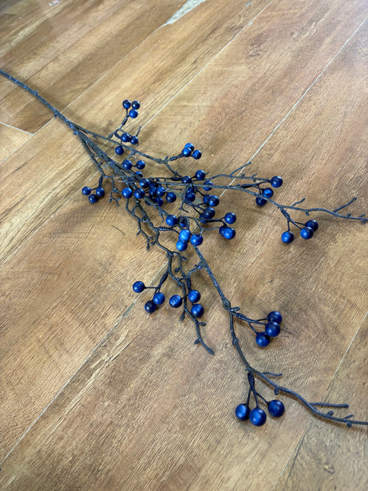 Long stem winter blue berry branch