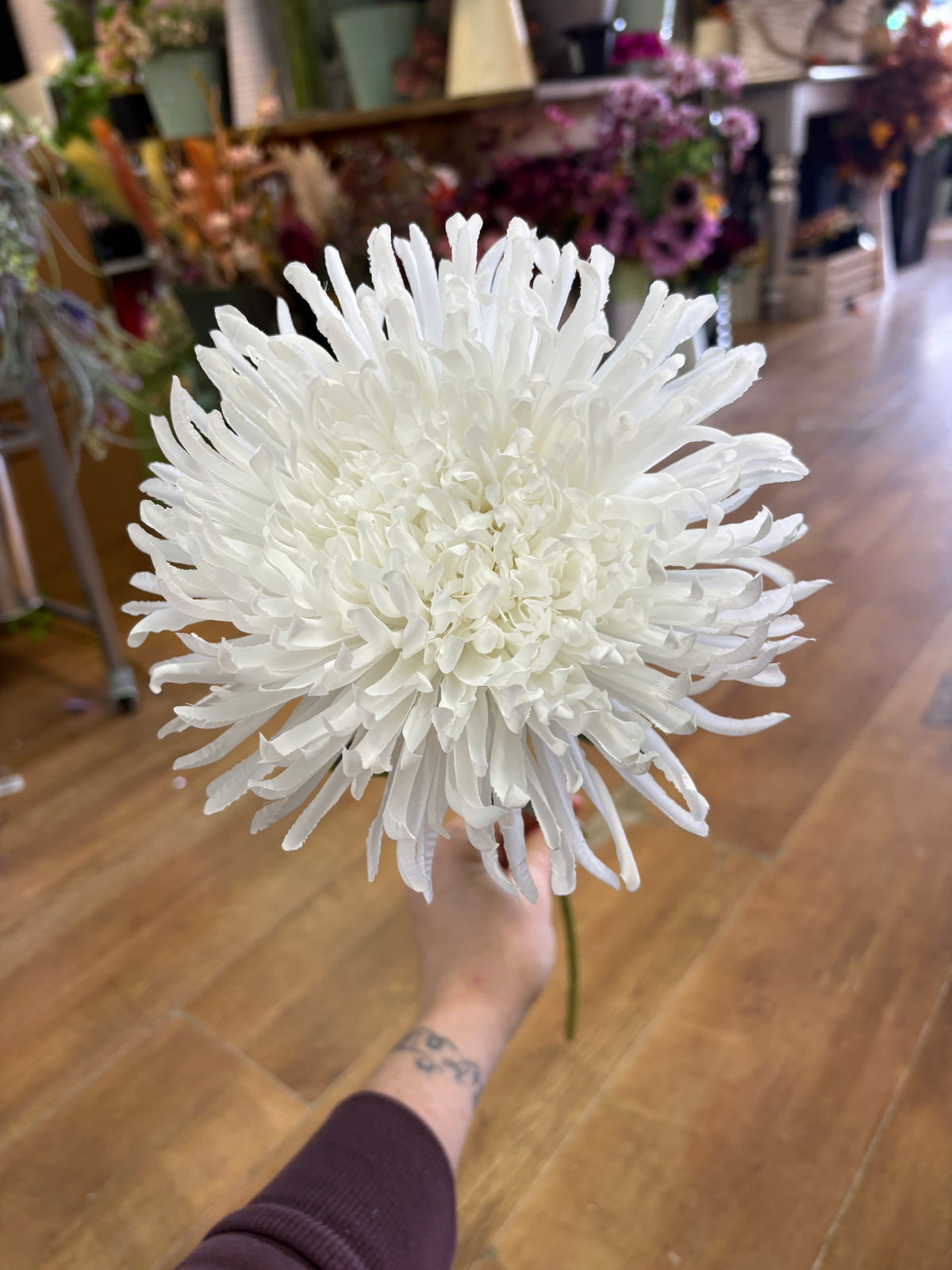 Long stem white Fuji mum