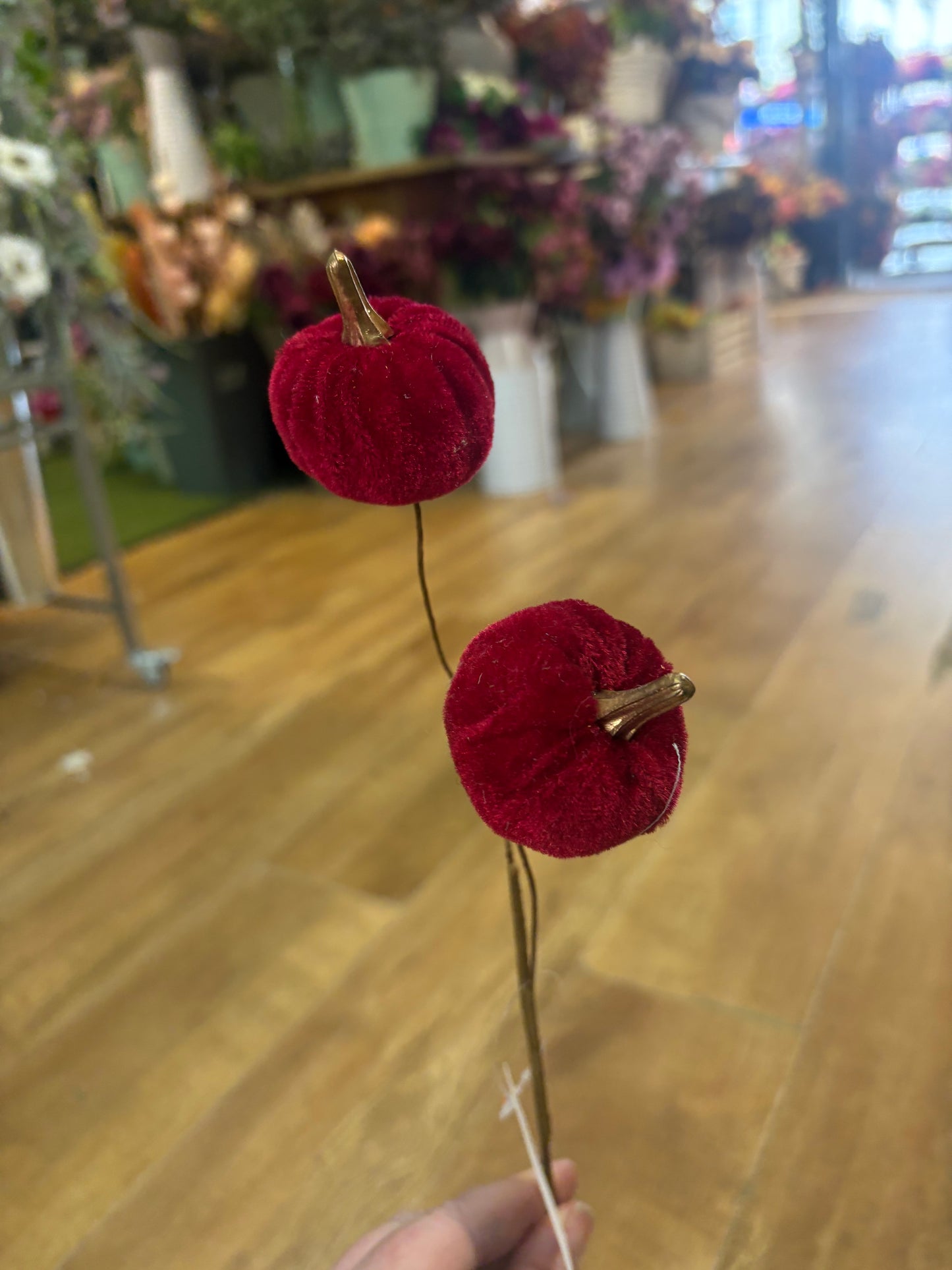 Burgundy velvet pumpkin stem