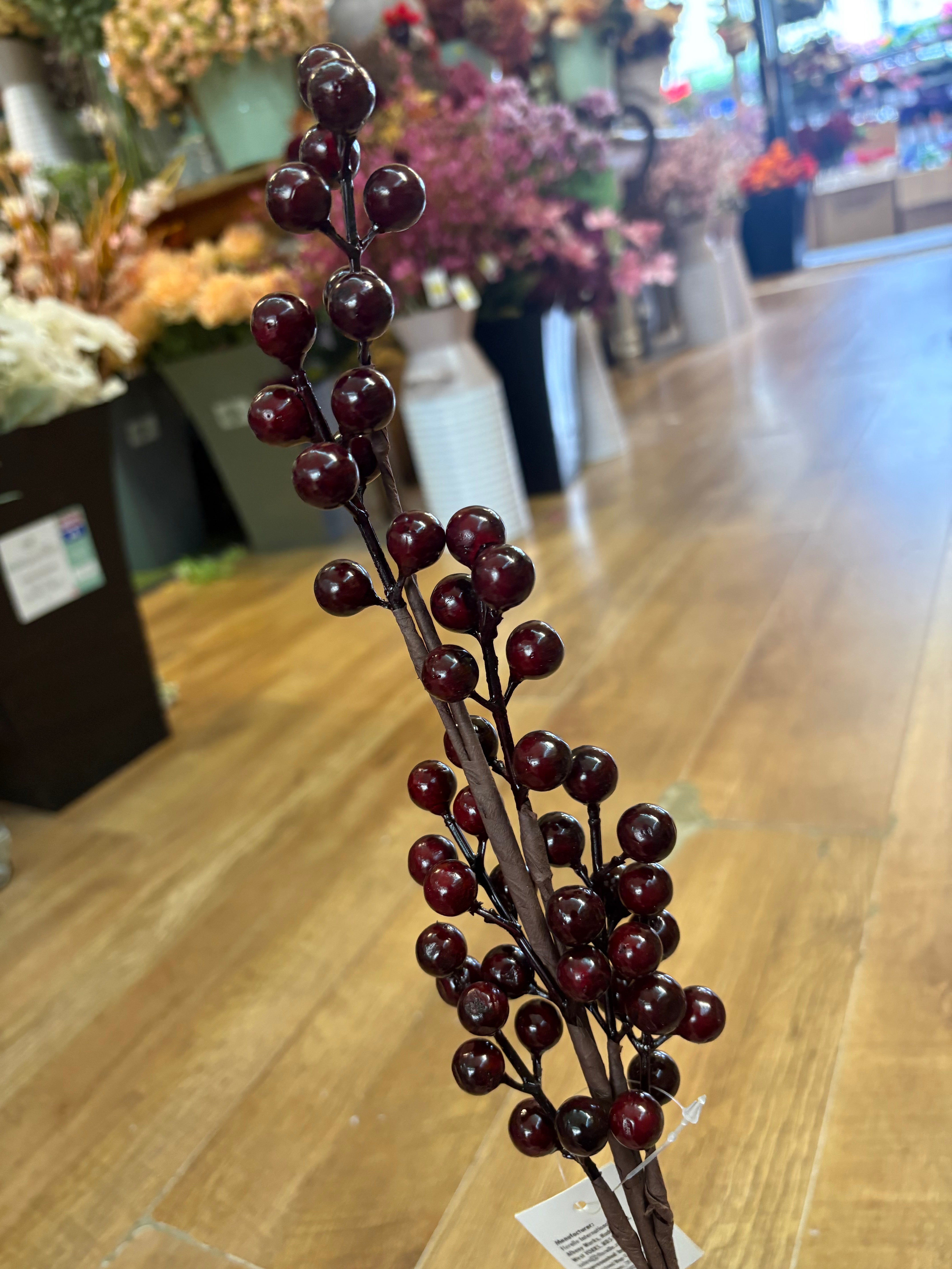 Dark burgundy berry stem