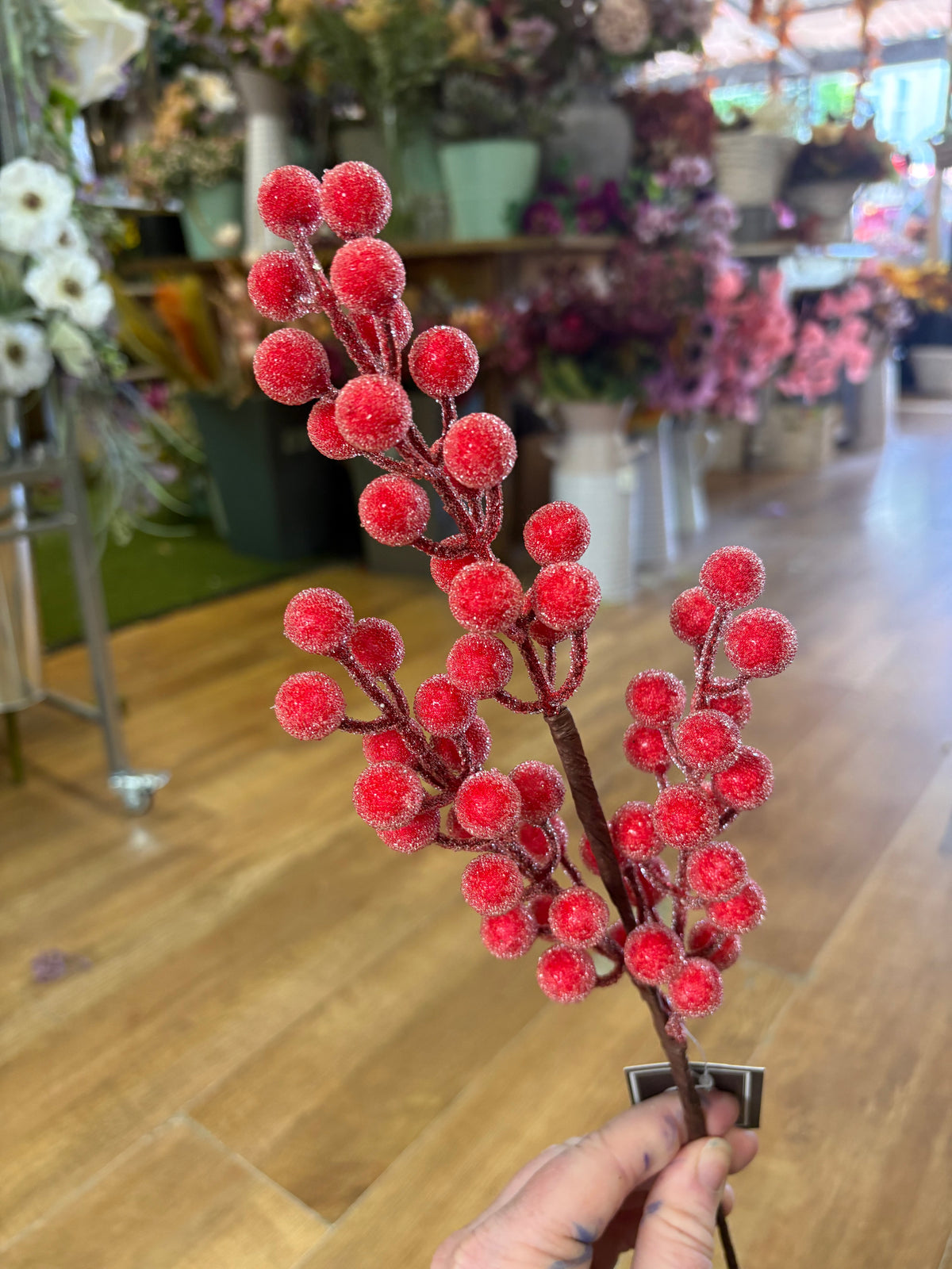 Medium length frosted red berry stem