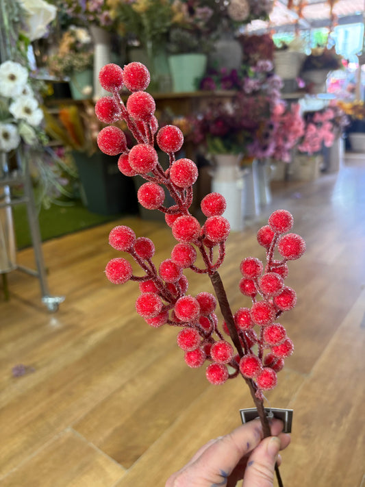 Medium length frosted red berry stem
