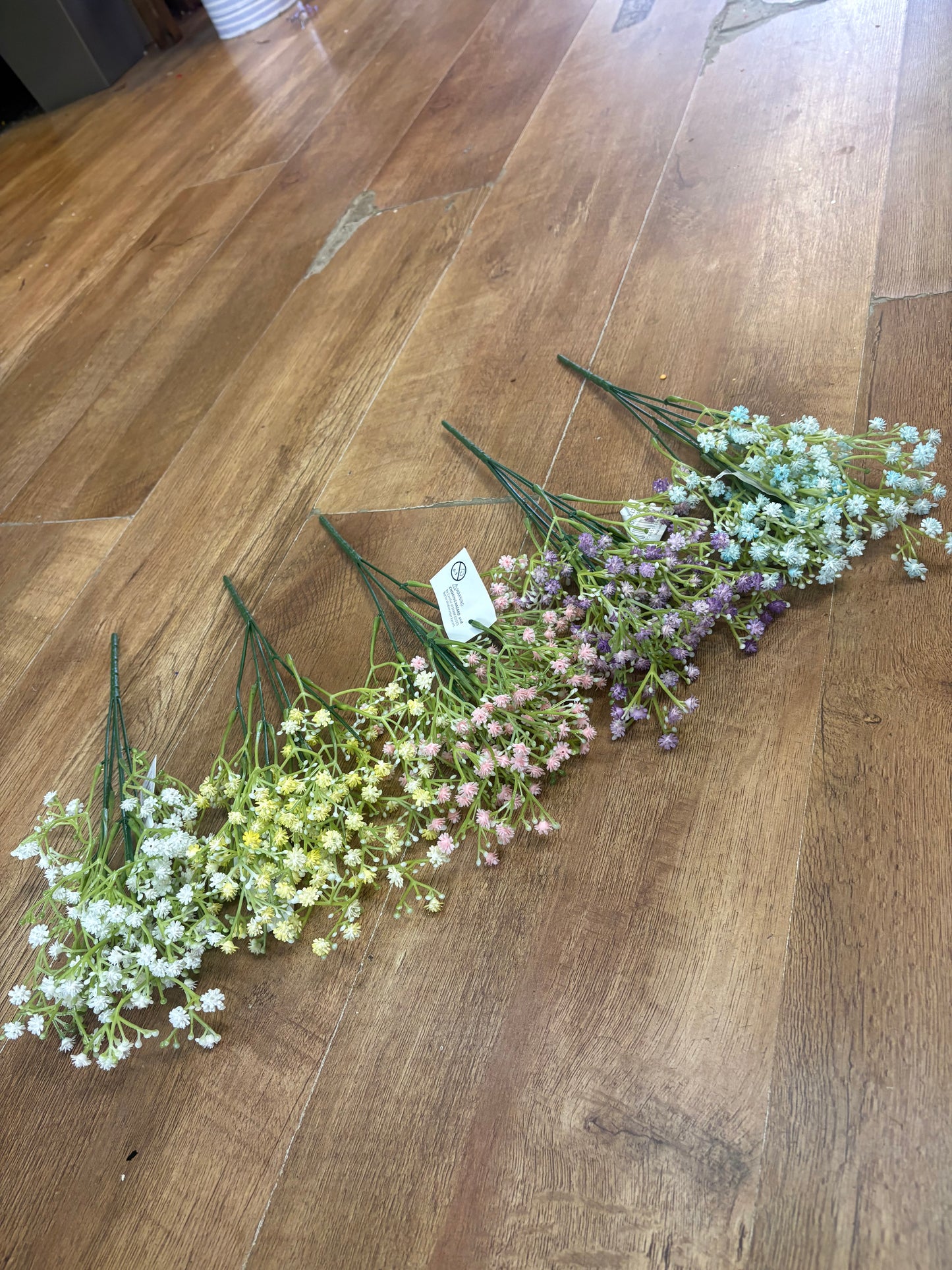 Gyp bush - 5 colours available