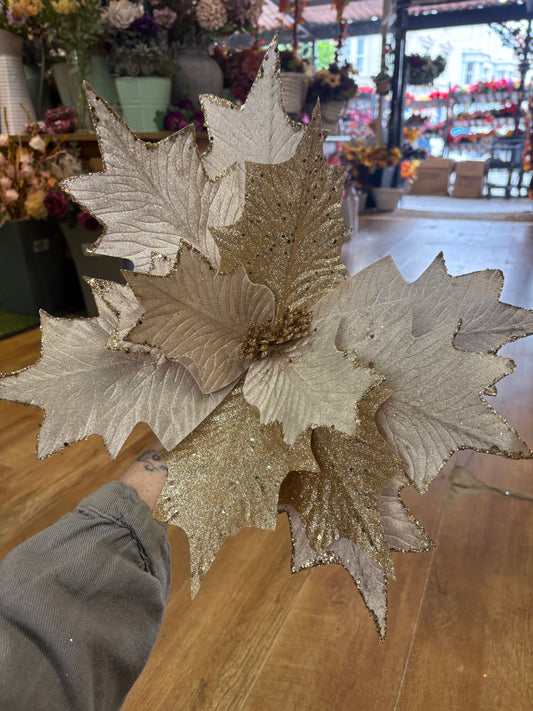 Large champagne and gold, velvet and glittered poinsettia