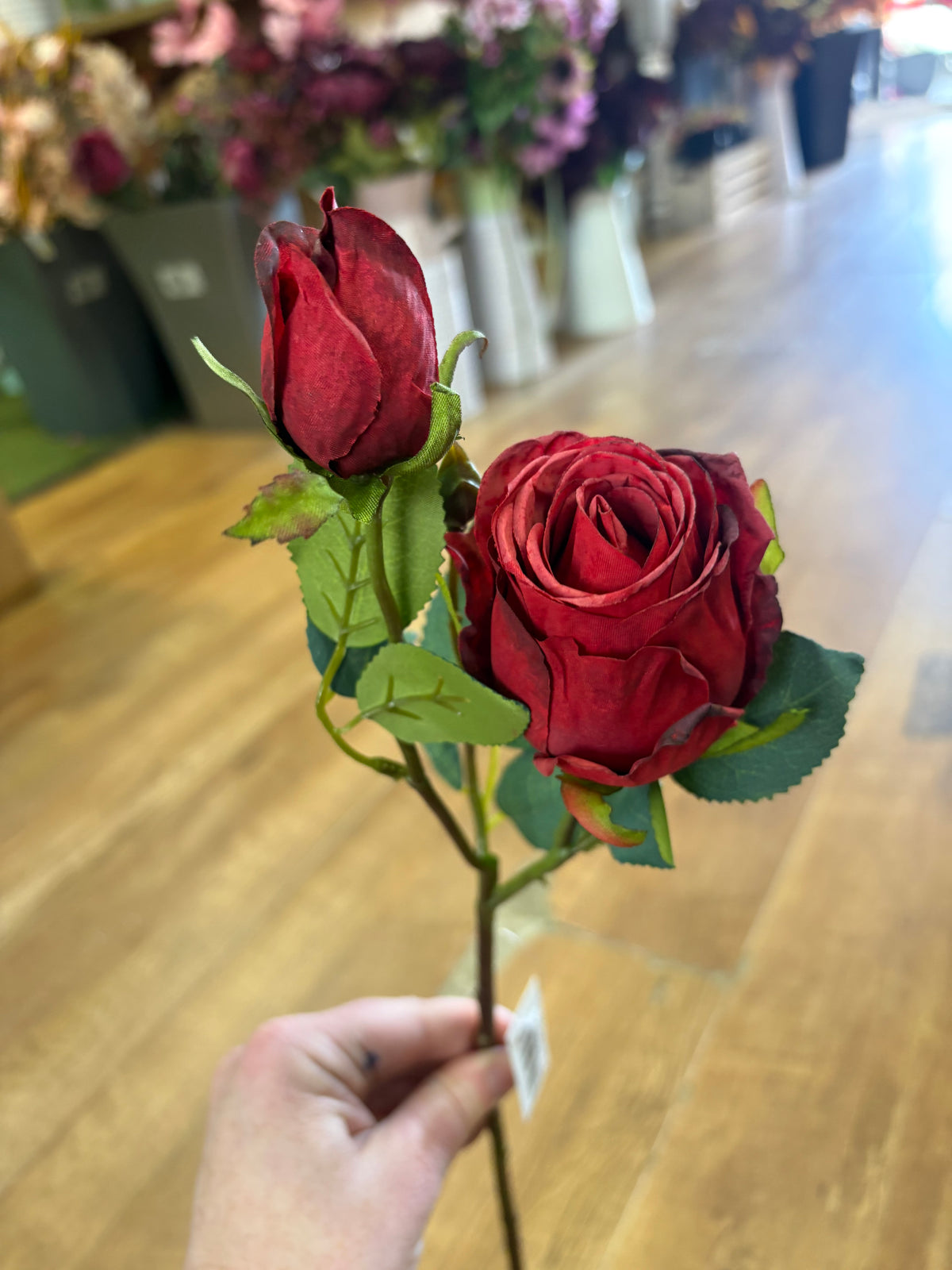 Dried inspired red single Gemini rose