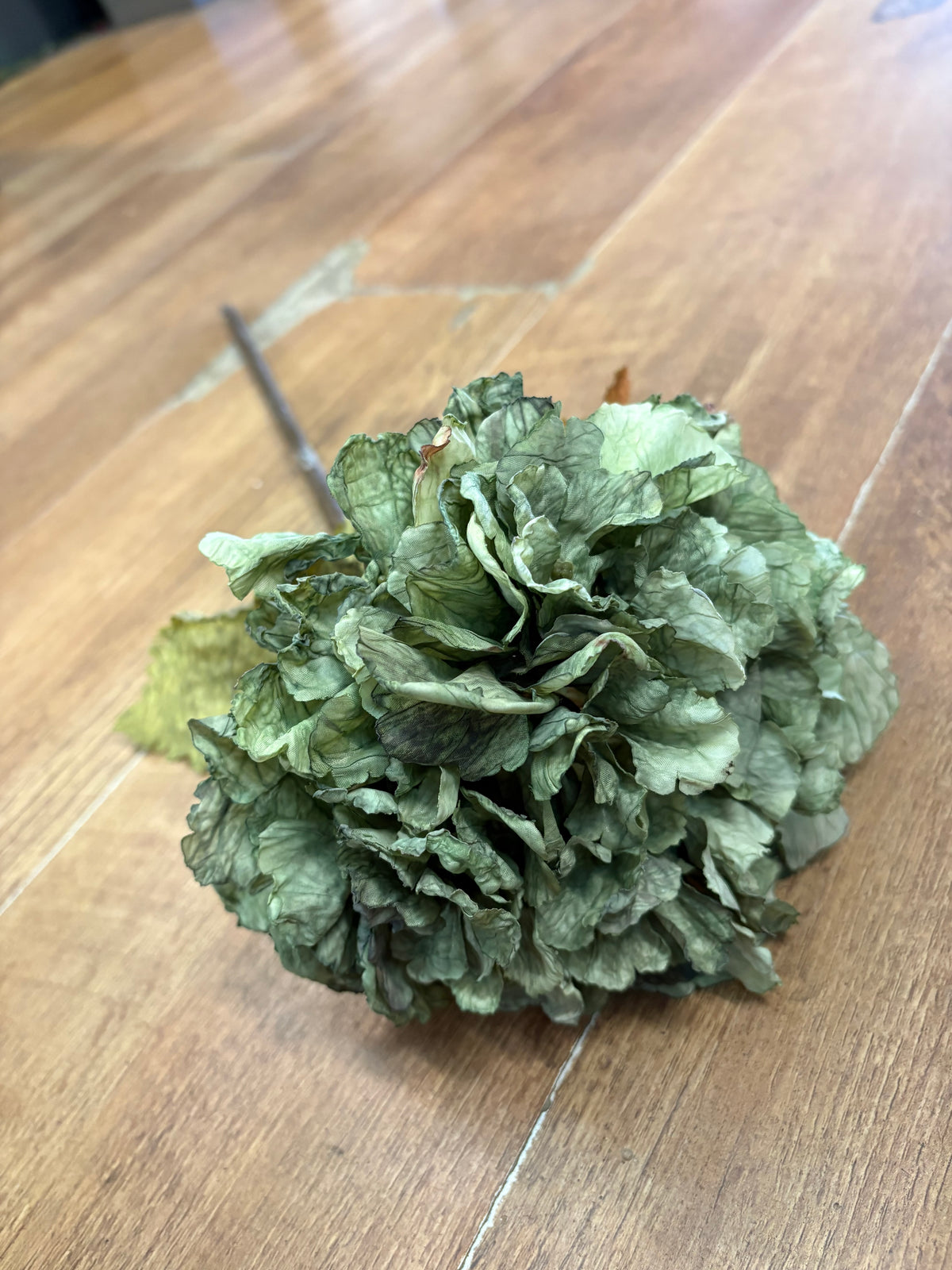 Dried inspired green hydrangea stem