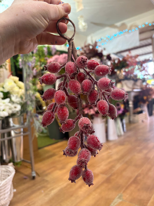 25cm hanging frosted rose hip swag