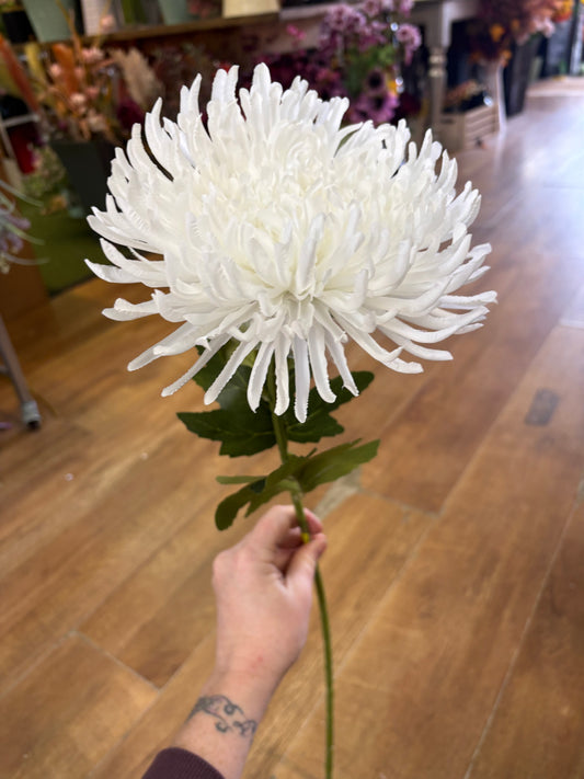 Long stem white Fuji mum