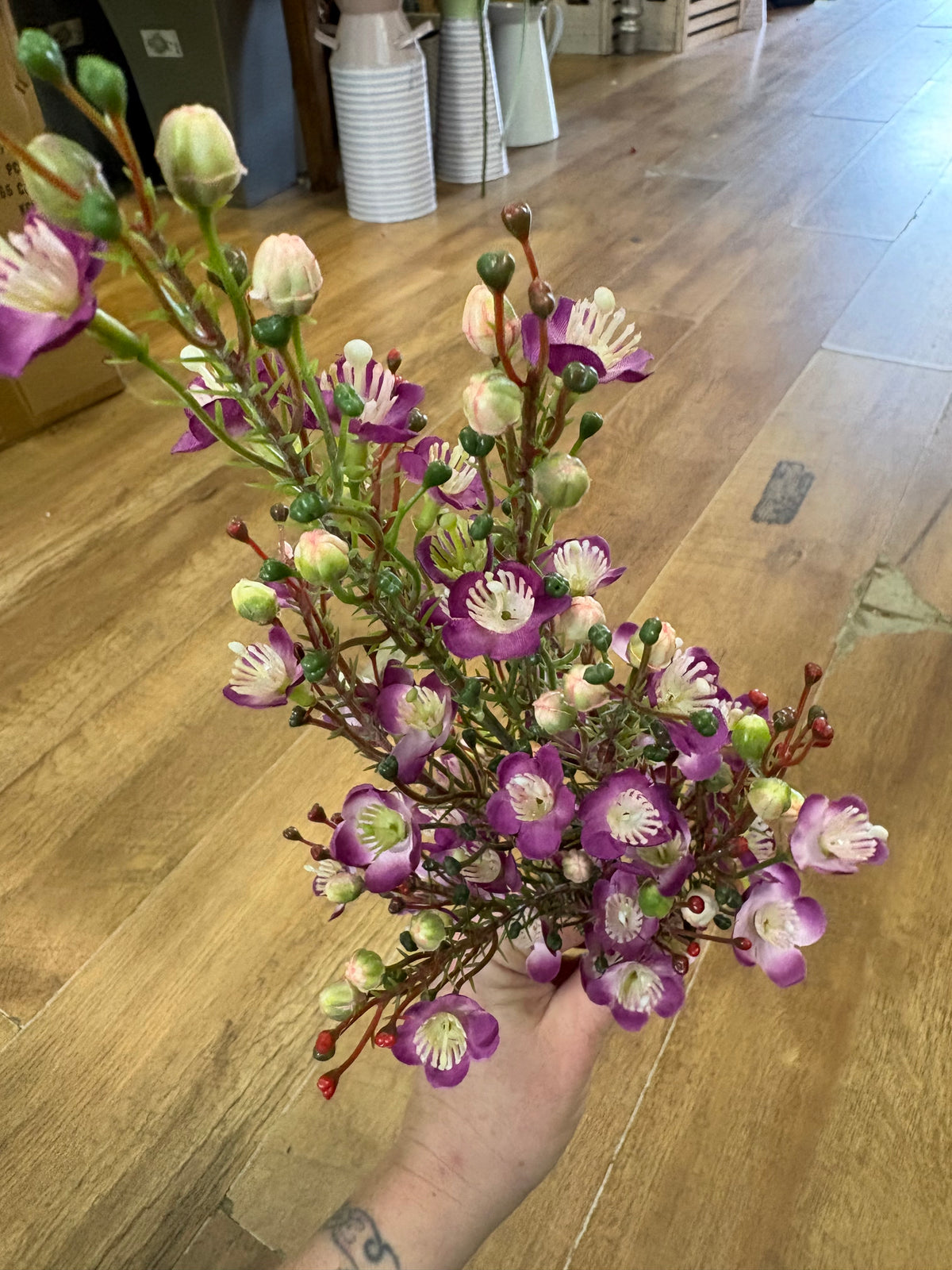 Purple wax flower Chamelaucium spray