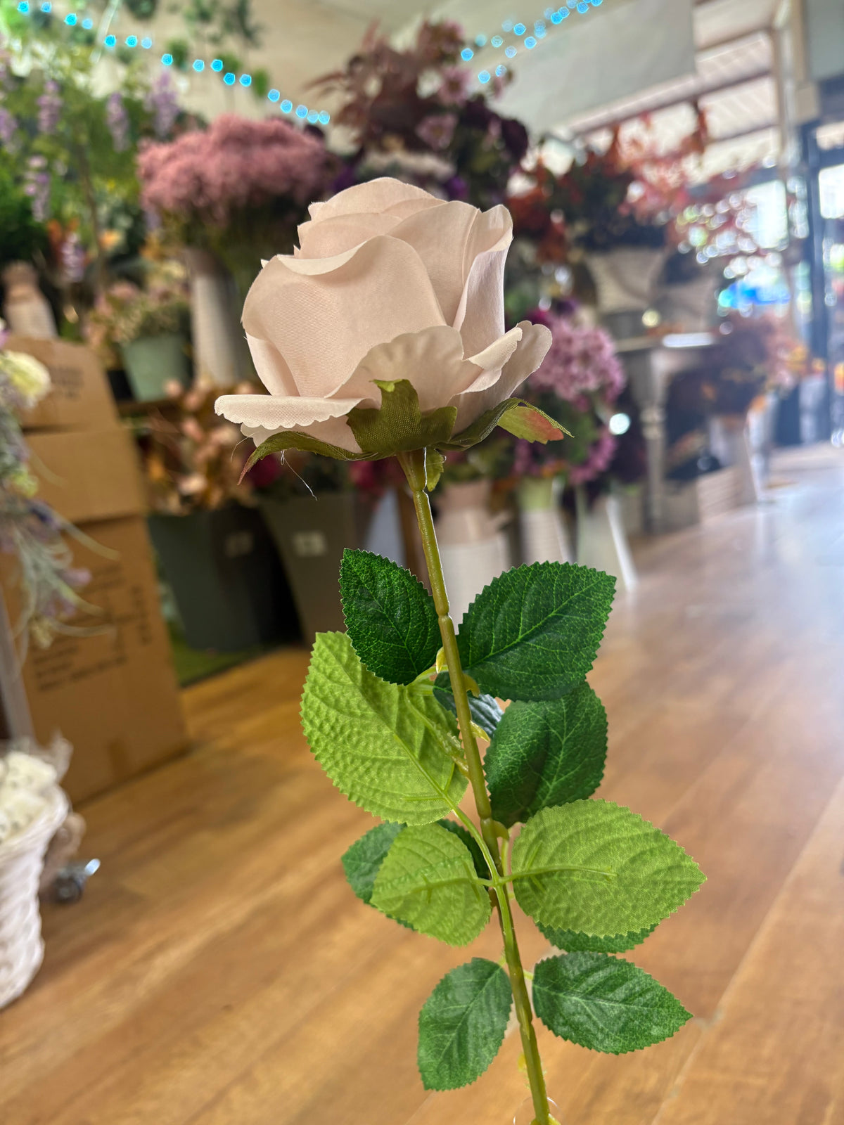 Single Nude harper rose