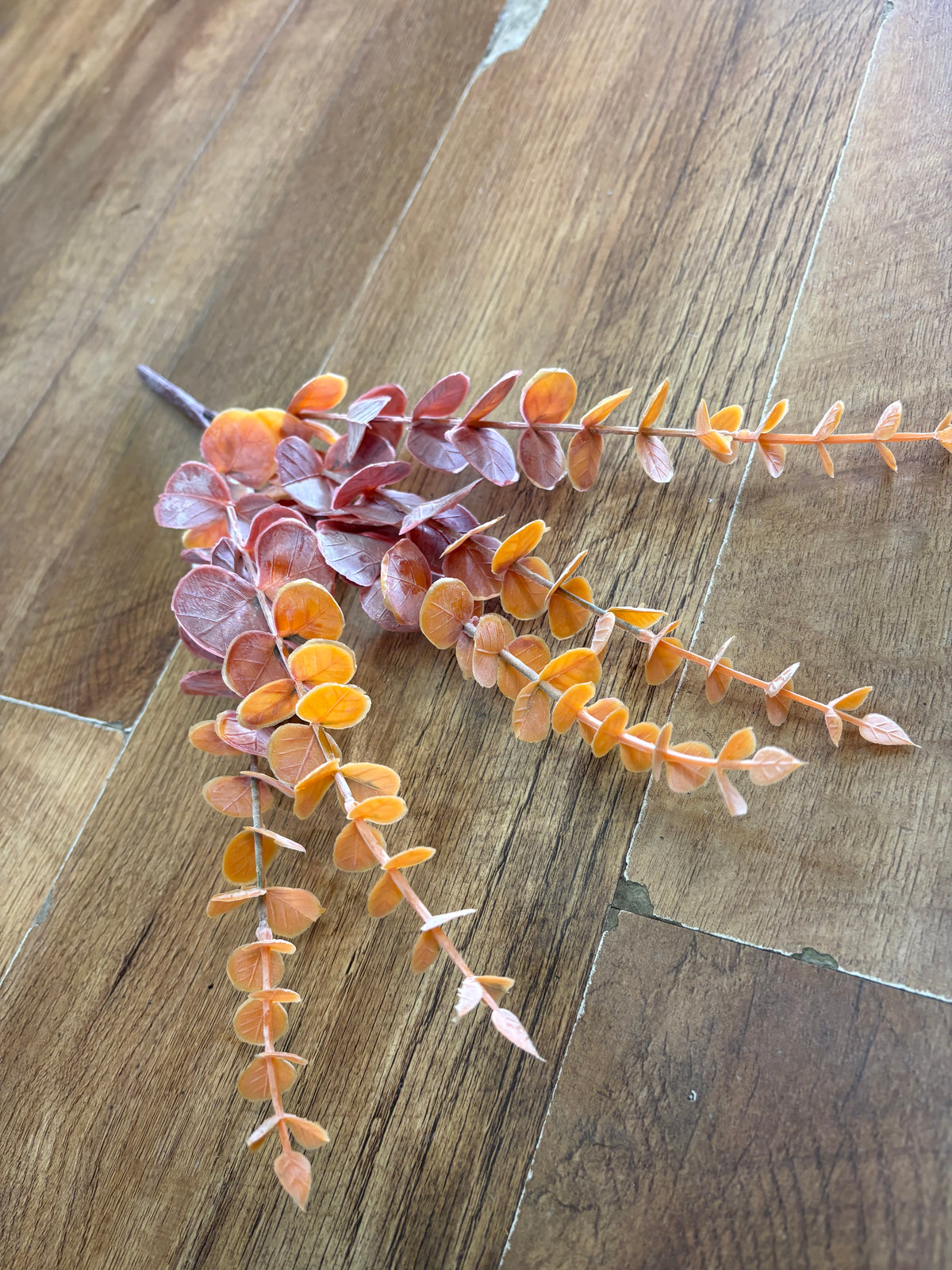 Dusted Autumnal eucalyptus bunch - 3 colours available