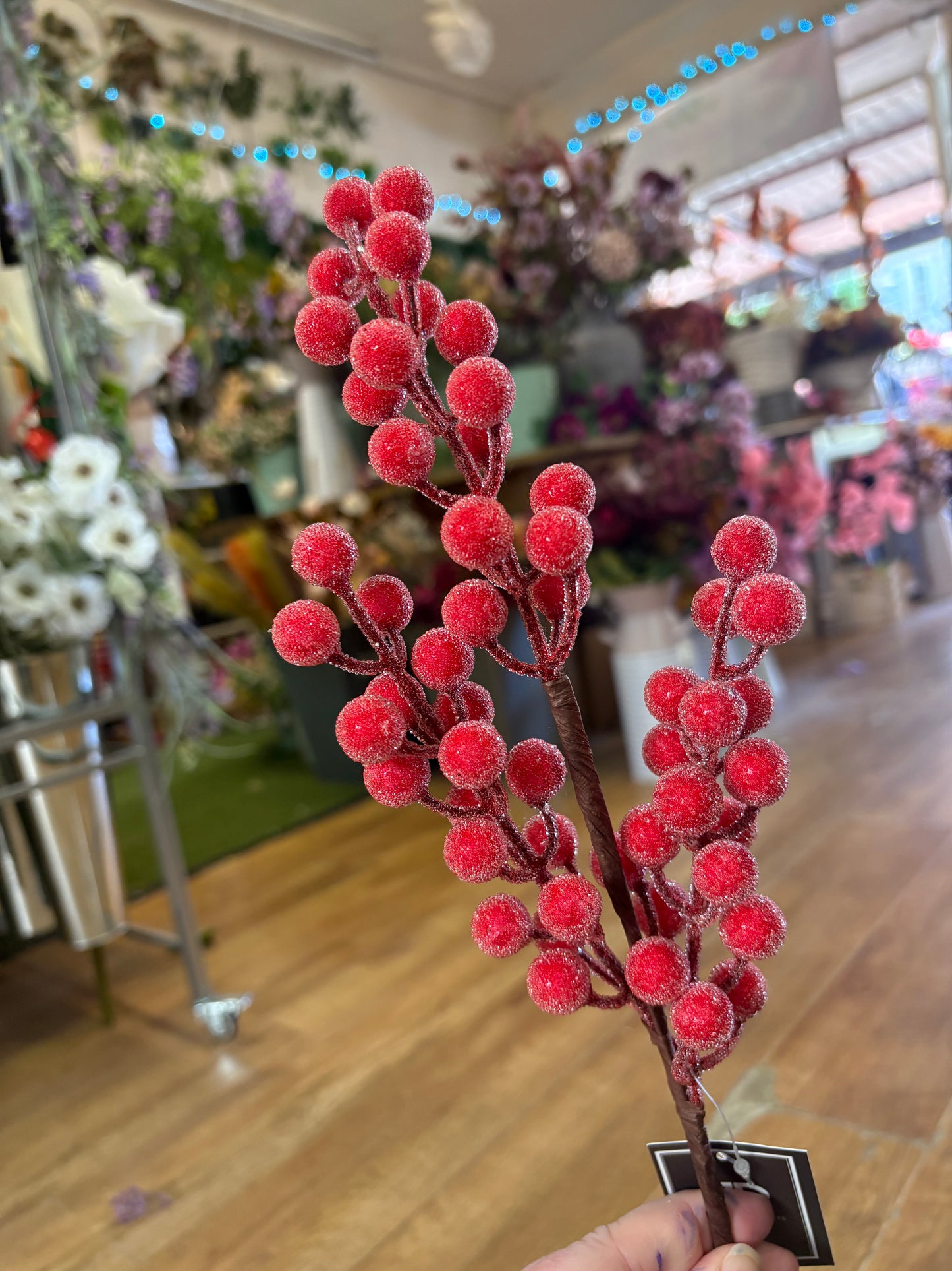 Medium length frosted red berry stem