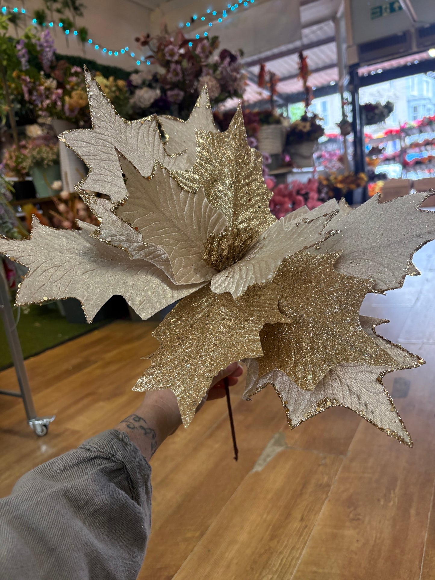 Large champagne and gold, velvet and glittered poinsettia