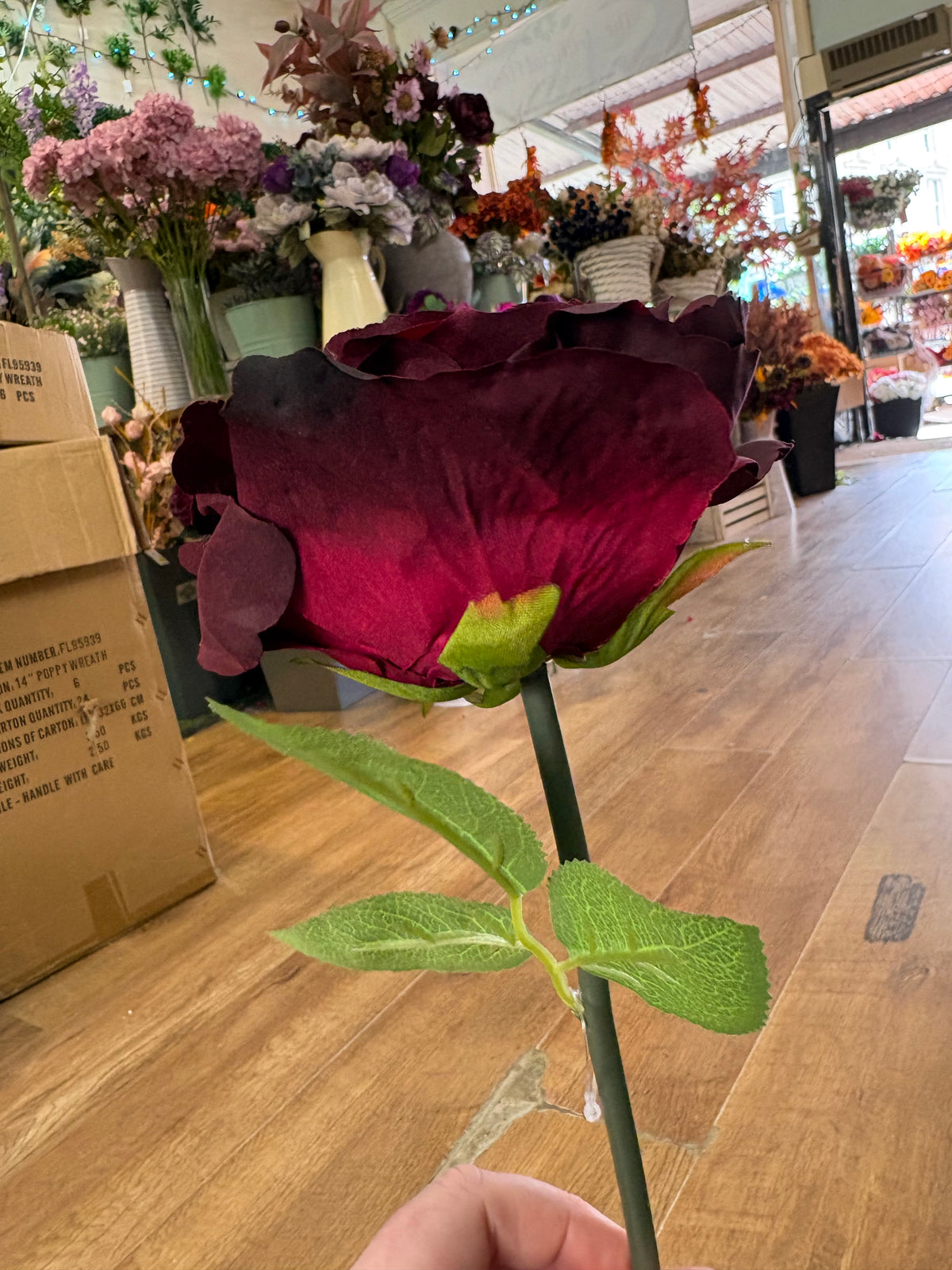 Medium length Grape Tudor rose