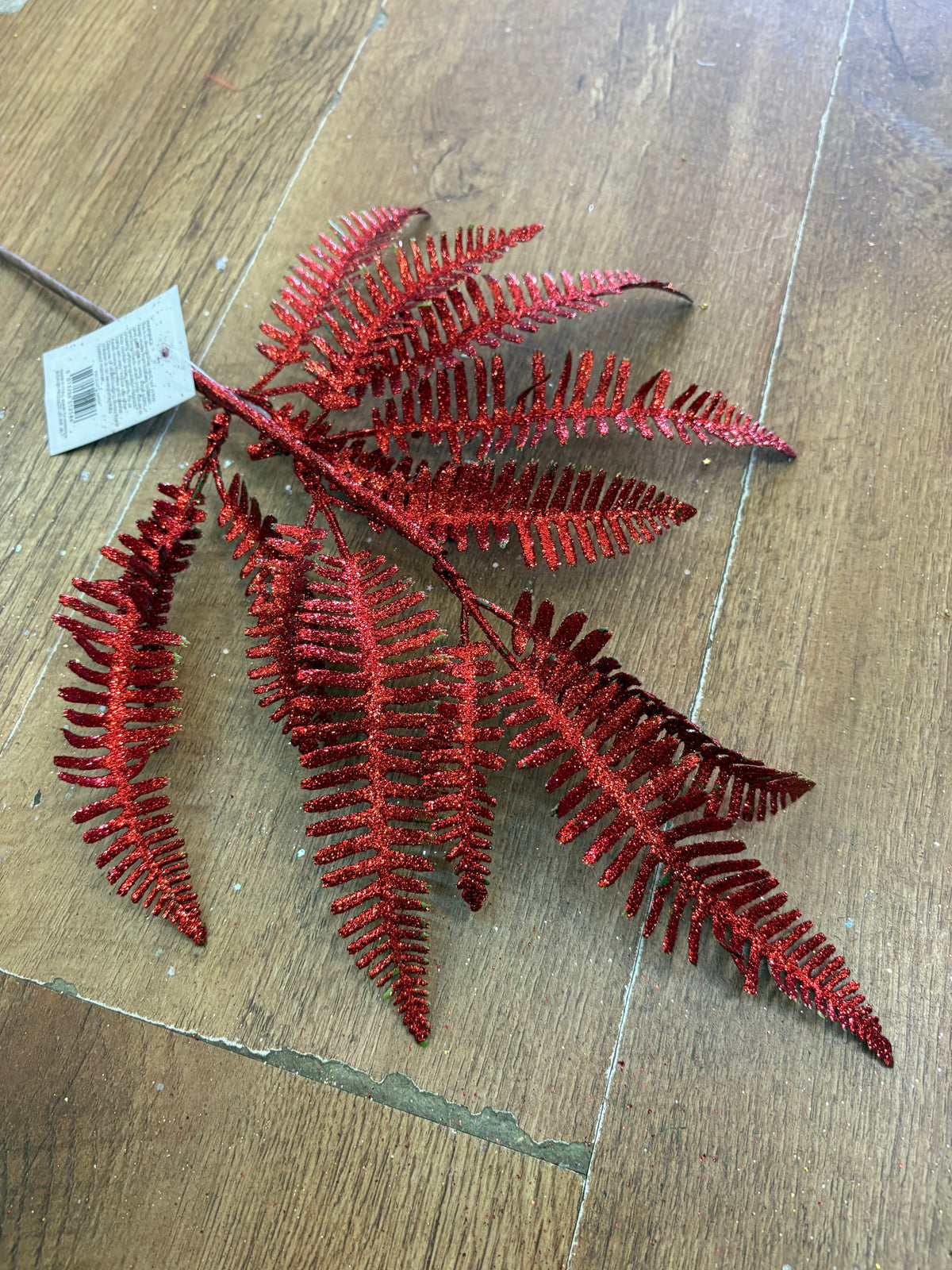 Glittered red fern stem